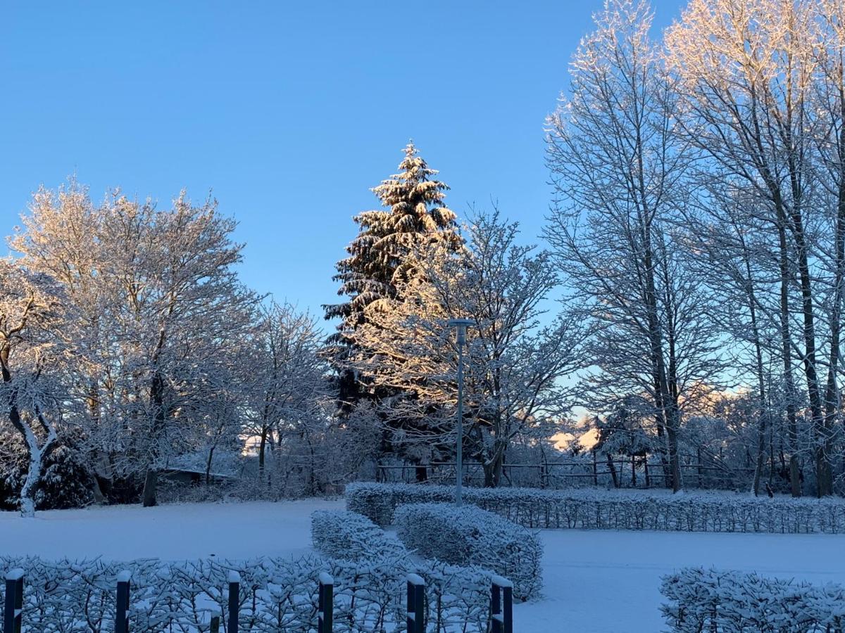 Hotel Parkhotel - Renoviert Seit Februar 2025 Putbus